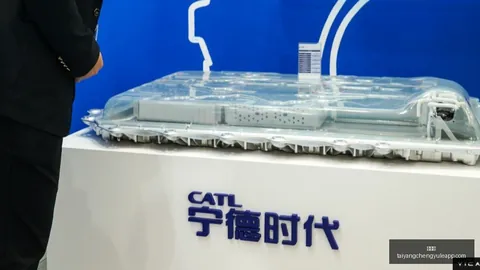 2026年大盘震荡反弹解析太阳城app：芯片农业领涨策略